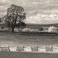 Fields of History, Gettysburg
