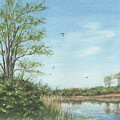 Heron Over Hebble Creek